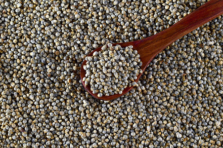 以木勺为珍珠米勒斯的壁炉小吃饲料粮食收成谷物营养脂肪坚果种子植物背景图片