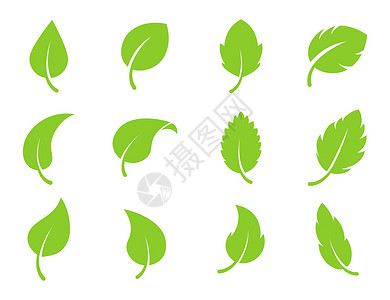 皇座生态叶绿色矢量标志平面图标集 孤立在白色背景上的叶子形状 生物植物和树木花卉森林概念设计插画