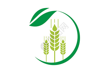 原创小麦图标农业小麦标志模板矢量图标设计谷物面包植物营养粮食农场食物玉米收成种子设计图片