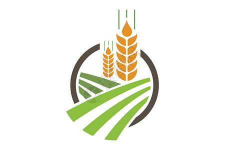 原创小麦图标农业小麦标志模板矢量图标设计食物粮食标签营养谷物生长收成场地燕麦耳朵设计图片