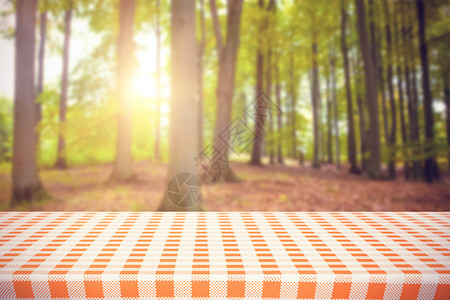 橙色和白色桌布的复合图像区系叶子橙子食物风景树干生命树木森林棕色背景图片