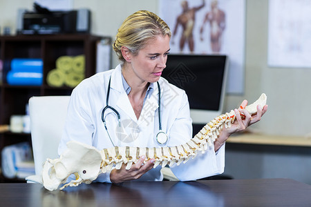 具有脊椎模型的深思熟虑理疗师背景图片