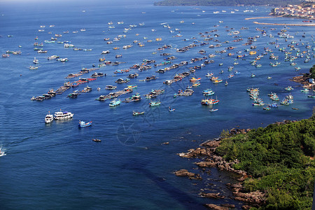 海上飞龙旅行热带树图片素材