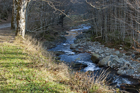 在巴尔干山脉Teteven镇附近流淌着麻木岩石和大石头的秋天森林中的Vit山河 风景壮丽木头溪流运动生态流动旅行环境荒野叶子墙纸背景图片