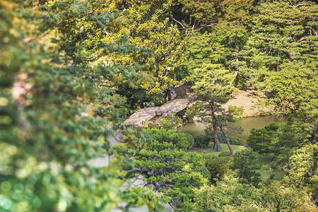 大石桥 叫做池塘上的图格素桥植物文化树木摊位叶子树叶摄影公园垂直晴天背景图片