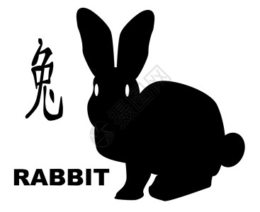 中华兔子年书法笔触脚本兔年团体白色元素写作插图简写背景图片
