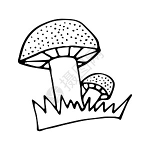 黑白蘑菇涂鸦素描图卡片彩页艺术衬衫白色黑色插图草图手绘填色背景图片