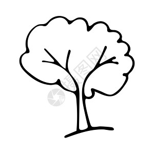 黑白树涂鸦素描图植物彩页孩子衬衫草图木头填色卡通片手绘艺术背景图片
