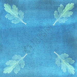 蓝色水彩背景上的浅绿色菊花叶背景图片
