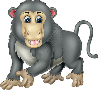 有趣的灰色猴子卡通荒野微笑头发人物动物园卡通片动物插图快乐乐趣背景图片