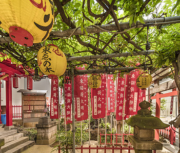 江户川柯南歌川广重两只狐狸高清图片