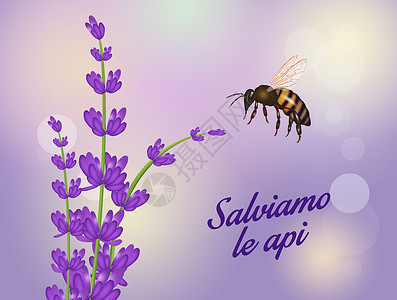 保存蜜蜂的可爱插图背景图片