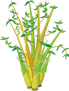 绿色黄色竹树卡通木头孩子们植物插图小孩竹子卡通片叶子创造力吉祥物背景图片