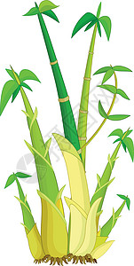 绿色黄色竹树卡通木头漫画孩子们卡通片小孩植物乐趣竹子快乐叶子背景图片