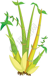 绿色黄色竹树卡通插图竹子快乐人物创造力卡通片吉祥物孩子们小孩木头背景图片