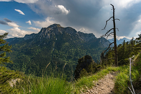 徒步和爬上泰格尔堡蓝色铁索旅行太阳运动森林登山者乐趣松树悬崖背景图片