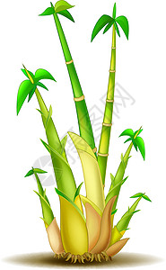 竹树卡通为您设计背景图片