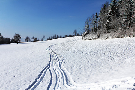 清晨在祖格的寒雪降下之后 冬季风景天空日出蓝色戏剧性暴风雪寒冷森林旅行日落太阳背景图片