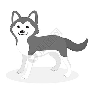 卡通哈士奇狗哈士奇犬图标平面卡通风格 孤立在白色背景上的可爱小狗 插图剪贴画背景