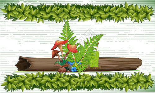 带小型蘑菇植物和抽象背景叶子的干木木木树卡通片动物地球发芽森林生长栽培树桩木板插图背景图片