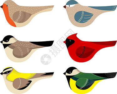 长尾巴山雀炫彩矢量鸟类收藏设计图片
