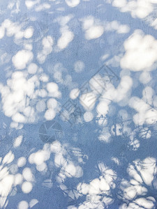 蓝色墙壁上棕榈树的花边阴影 具有漂亮纹理的抽象背景树叶坡度植物叶子蕾丝阳光背景图片