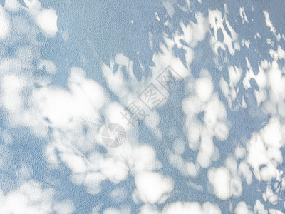 蓝色墙壁上棕榈树的花边阴影 具有漂亮纹理的抽象背景阳光树叶叶子蕾丝植物坡度背景图片