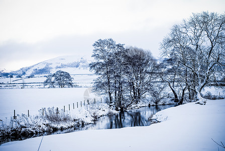 冬季雪雪景观 背景为树木和山丘的英国背景图片