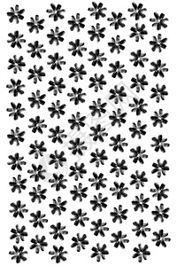 向日葵种子花卉图案 孤立的背景 详细的纹理 宏特写 纵向方向海报背景图片