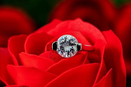 红玫瑰上的钻石结婚戒指钻戒夫妻配饰叶子宝石树叶婚姻婚礼乐队水晶背景图片
