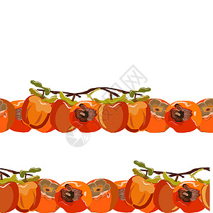 以叶片无缝的横向边框矢量插图绘制整个 Persimmon 整体背景图片