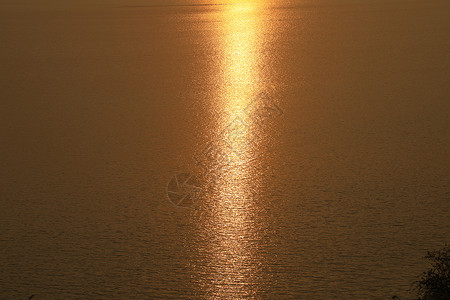 美丽的夏天日落夕阳艺术光效树叶晴天天气环境天空电线杆活力背景图片