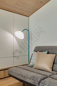 一个现代房间 有沙发和地板灯建筑学地面风格桌子奢华枕头休息室房子长椅装饰家具高清图片素材