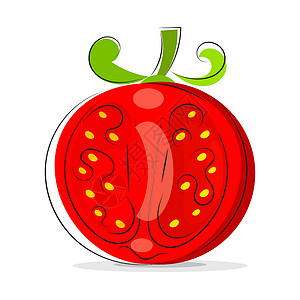 鲜切牛尾矢量成熟红色鲜切番茄特写在白色背景上分离农业卡通片圆形烹饪沙拉食物种子饮食营养叶子插画