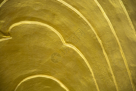 金鲤鳞淡水动物金子钓鱼食物白鱼尾巴皮肤框架金属自然高清图片素材