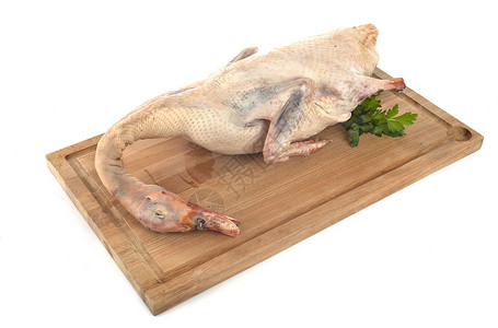 工作室中的鸭肉烹饪食物香菜鹅肝高清图片
