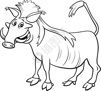 彩猪疣猪野生动物卡通着色书 pag插画