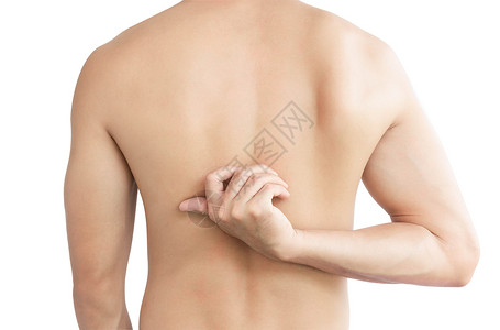 近身人手抓着背皮肤过敏皮疹 健康症状医疗男人药品湿疹发痒皮炎划痕疾病感染患病的高清图片素材