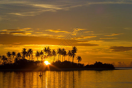海边日落 棕榈树的黑暗影盘和令人惊叹的乌云天空椰子场景棕榈闲暇异国荒野旅行热带蓝色海岸线背景图片