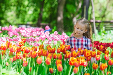 在郁金香的花朵中可爱的小姑娘农业植物植物群场地女孩叶子孩子童年露天享受花束高清图片素材