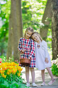 可爱的小姑娘们 在郁金香的花朵中漫步场地孩子公园叶子花店快乐童年植物群季节空地享受高清图片素材