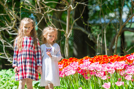 可爱的小姑娘们 在郁金香的花朵中漫步季节生长享受婴儿孩子空地场地自由花束花园女儿高清图片素材