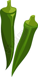 植物中药材秋葵绿色天花 插图 白色背景矢量夹子蔬菜饮食植物女士收成美食营养生活水果设计图片