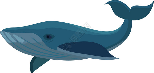 大尾巴鱼剪纸白色背景上的大鲸鱼设计图片