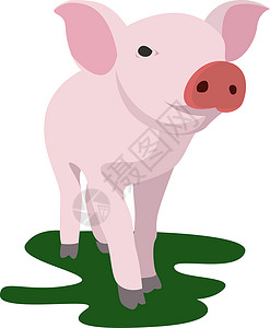 猪牛羊肉白色背景上的猪动物绘画公鸡食物小牛羊肉火鸡艺术雕刻野生动物插画