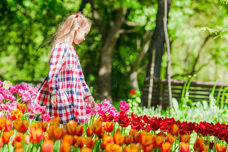 可爱的小女孩 在盛开的郁金香花园 温暖的春日户外快乐植物女儿公园女孩花束花园农业季节植物群自由高清图片素材