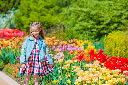 可爱的小女孩 在盛开的郁金香花园生长女儿植物公园享受季节空地自由露天女孩夏天高清图片素材