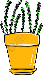 植物在白色背景上的黄色带子棕色灯泡圆形制品陶瓷装饰园艺生长卡通片背景图片
