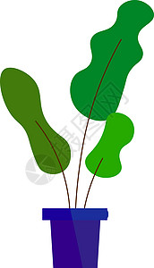 白色背景上的绿色生长植物盆栽叶子花盆园艺插图背景图片