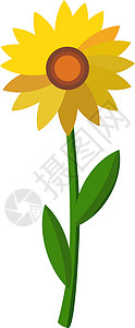 白色背景上的太阳织物黄色绿色水彩艺术植物花园叶子向日葵背景图片